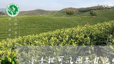 小青柑可以用茶杯泡吗/2023061051703