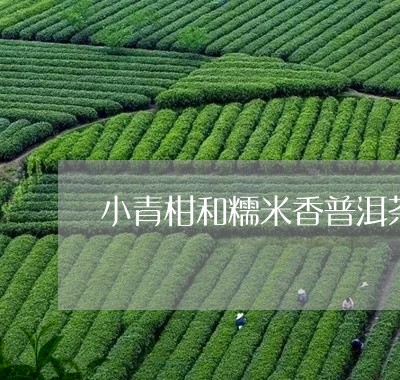 小青柑和糯米香普洱茶/2023072308360