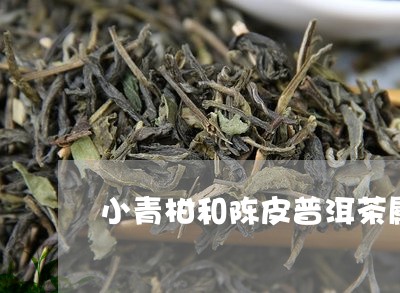 小青柑和陈皮普洱茶属于柑普茶吗/2023060238259