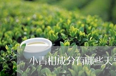 小青柑成分有哪些天马小青柑怎么样/2023060420583