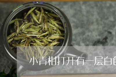 小青柑打开有一层白色/2023092116350