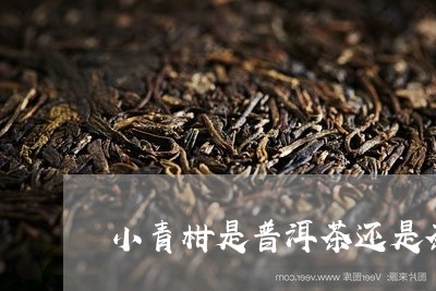 小青柑是普洱茶还是茶叶/2023112820705