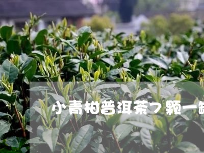 小青柑普洱茶7颗一罐/2023120657249