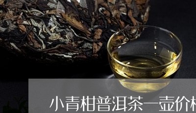 小青柑普洱茶一壶价格/2023061504291