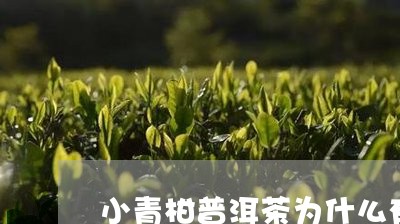 小青柑普洱茶为什么有点药味/2023102531612