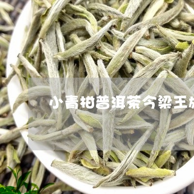 小青柑普洱茶今梁王旗舰店/2023081596194