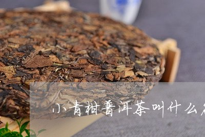 小青柑普洱茶叫什么名/2023112739359