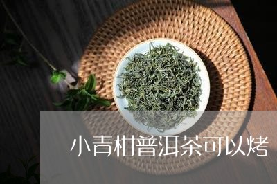 小青柑普洱茶可以烤/2023120506949