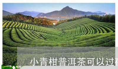 小青柑普洱茶可以过夜/2023072487693