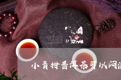 小青柑普洱茶可以闷泡/2023120605079