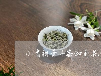 小青柑普洱茶和菊花一起泡/2023051146129