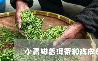 小青柑普洱茶和陈皮白茶哪个好喝/2023063072915