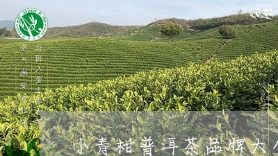 小青柑普洱茶品牌大全/2023092967363