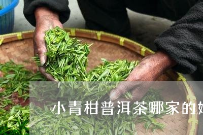 小青柑普洱茶哪家的好喝/2023112759615