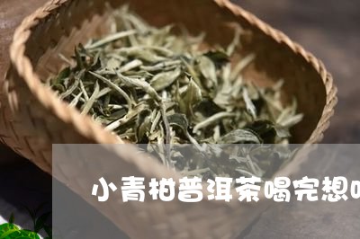 小青柑普洱茶喝完想吐/2023072471613