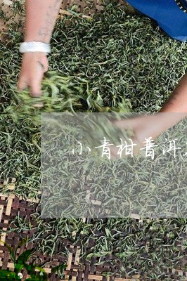 小青柑普洱茶壳能泡吗/2023092696360