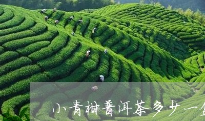 小青柑普洱茶多少一盒/2023061579481