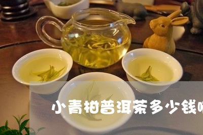 小青柑普洱茶多少钱啊/2023061501815