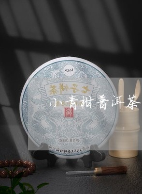 小青柑普洱茶怎么做冷饮/2023102402714