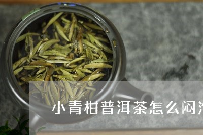 小青柑普洱茶怎么闷泡/2023112495241