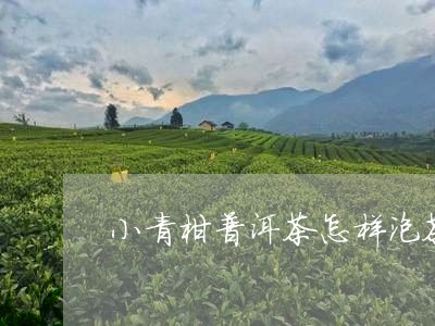 小青柑普洱茶怎样泡茶好/2023110150715