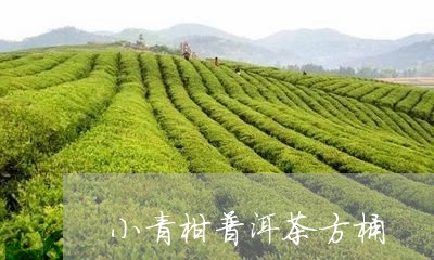 小青柑普洱茶方桶/2023101636926