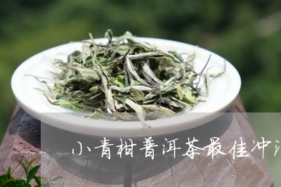 小青柑普洱茶最佳冲泡温度/2023051330404