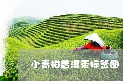 小青柑普洱茶标签图/2023120585049