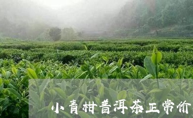 小青柑普洱茶正常价格/2023120616248