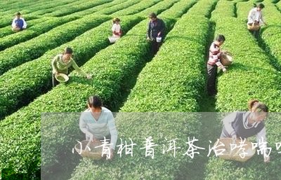 小青柑普洱茶治哮喘吗/2023061738380