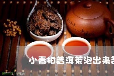 小青柑普洱茶泡出来苦/2023092737361