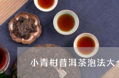 小青柑普洱茶泡法大全/2023093029303