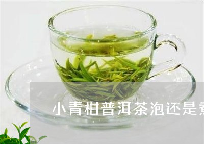 小青柑普洱茶泡还是煮/2023061980714