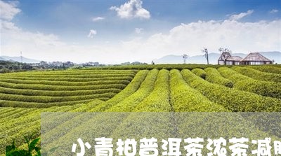 小青柑普洱茶浓茶减肥/2023062087481