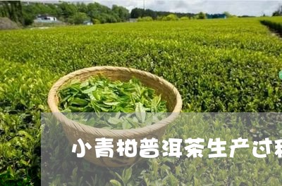 小青柑普洱茶生产过程/2023120679461