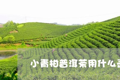 小青柑普洱茶用什么壶泡好喝/2023110272404