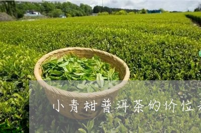 小青柑普洱茶的价位表/2023062864947