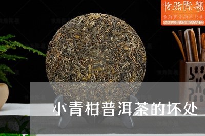 小青柑普洱茶的坏处/2023071196250