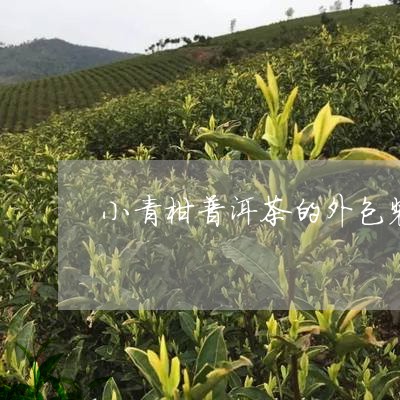 小青柑普洱茶的外包装/2023072195249