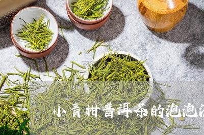 小青柑普洱茶的泡泡法/2023081622514