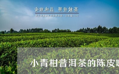 小青柑普洱茶的陈皮味/2023092822825