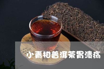 小青柑普洱茶胃溃疡/2023062294957