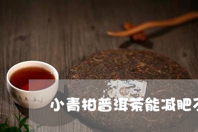 小青柑普洱茶能减肥不/2023092882707