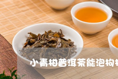 小青柑普洱茶能泡枸杞/2023072369582