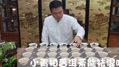 小青柑普洱茶能祛湿吗/2023072152926