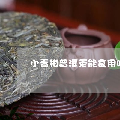 小青柑普洱茶能食用吗/2023092757272