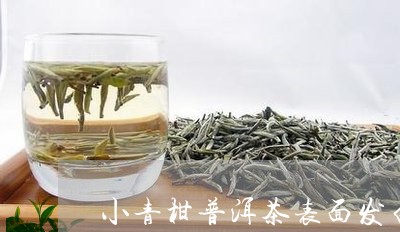 小青柑普洱茶表面发白/2023092929381