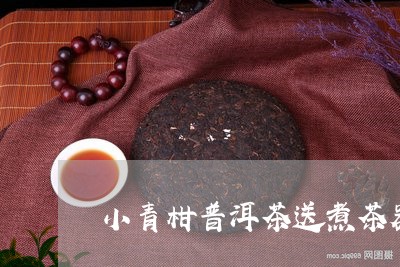 小青柑普洱茶送煮茶器/2023061591693