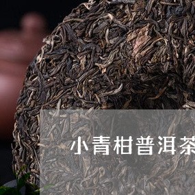 小青柑普洱茶送老爸可以吗/2023112441592