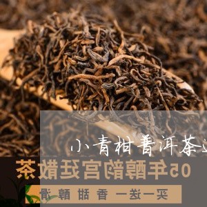 小青柑普洱茶适合送老丈人吗/2023110263827